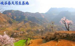 峡谷春天写生基地
