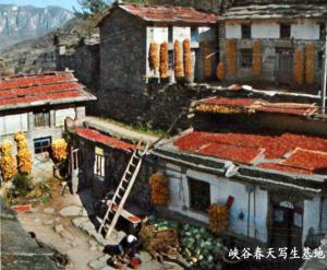 峡谷春天写生基地