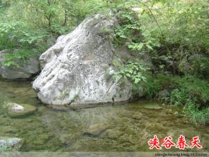 峡谷春天写生基地