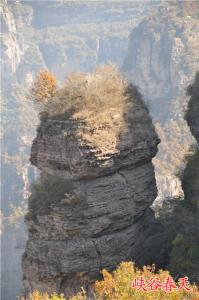 峡谷春天写生基地