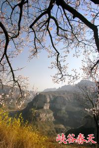 峡谷春天写生基地