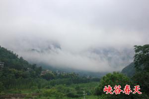 峡谷春天写生基地