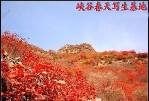峡谷春天写生基地