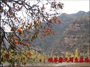 峡谷春天写生基地