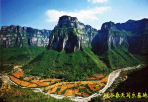 峡谷春天写生基地